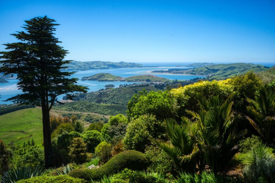 View from Larnach Castle Gardens